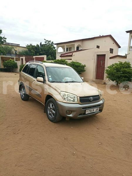 Big with watermark 52926475 2319960264954170 2840409886007754752 n