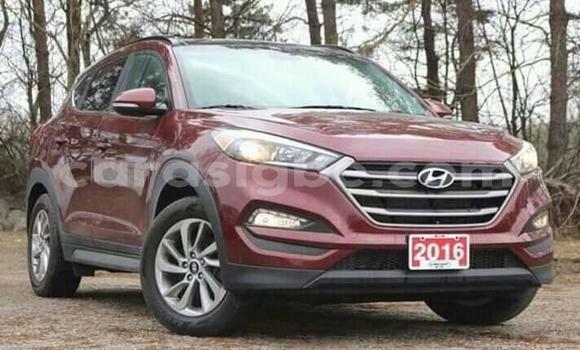 Acheter Occasion Voiture Hyundai Tucson Rouge à Lomé, Togo Acheter Occasion Voiture Hyundai Tucson Rouge à Lomé, Togo