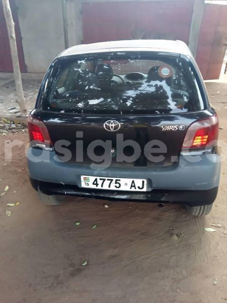 Big with watermark 59051870 1244672039028719 650582718077206528 n