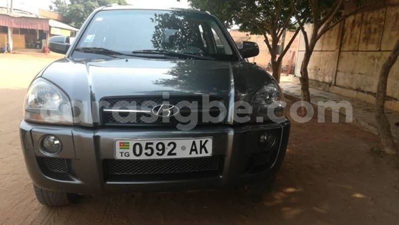 Big with watermark 53022879 1204841459678444 2507310884162895872 o