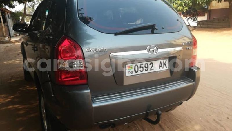 Big with watermark 52775047 1204841503011773 4548530826442178560 o