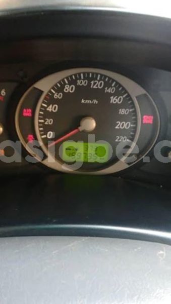 Big with watermark 53057946 1204841479678442 550176553179283456 n