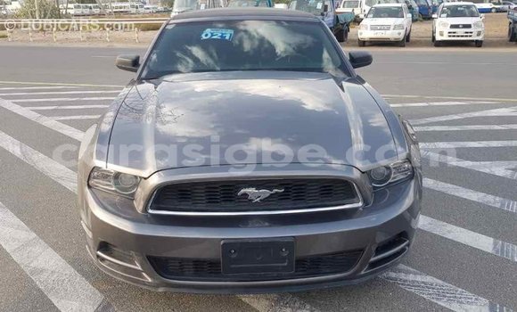 Acheter Import Voiture Ford Mustang Autre à Import - Dubai, Togo Acheter Import Voiture Ford Mustang Autre à Import - Dubai, Togo