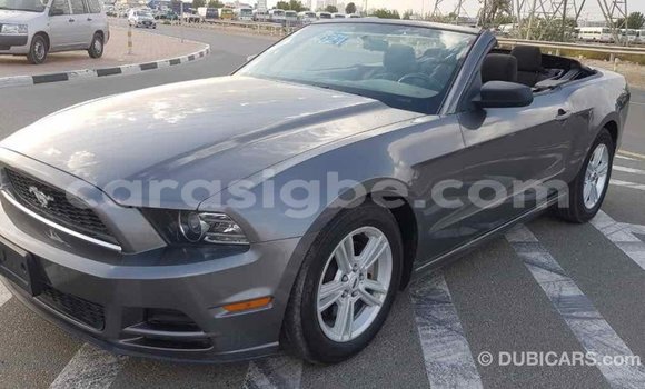 Acheter Import Voiture Ford Mustang Autre à Import - Dubai, Togo Acheter Import Voiture Ford Mustang Autre à Import - Dubai, Togo