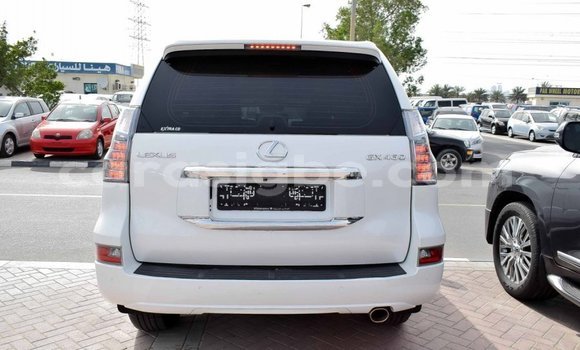 Acheter Import Voiture Lexus GX 460 Blanc à Import - Dubai, Togo Acheter Import Voiture Lexus GX 460 Blanc à Import - Dubai, Togo