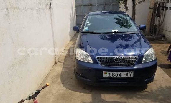 Buy Used Toyota Allex Blue Car in Lome in Togo Buy Used Toyota Allex Blue Car in Lome in Togo