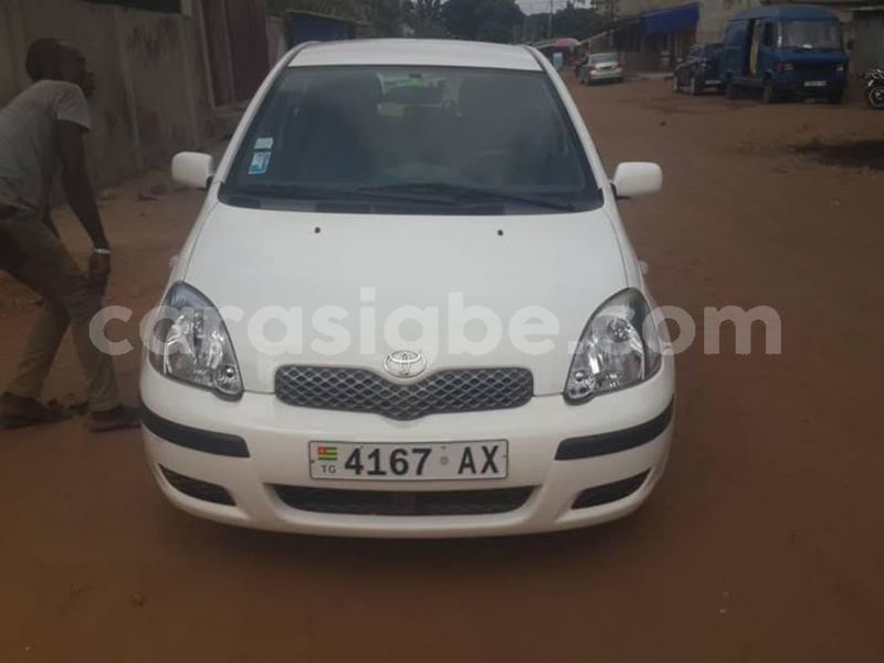 Big with watermark 58373922 2237055913278362 2881433034207264768 o