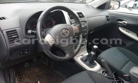 Buy Used Toyota Corolla Silver Car in Lome in Togo Buy Used Toyota Corolla Silver Car in Lome in Togo