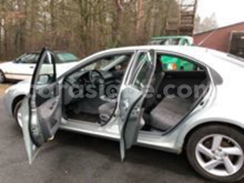 Big with watermark 60055277 2255025767885502 8812008577574109184 n