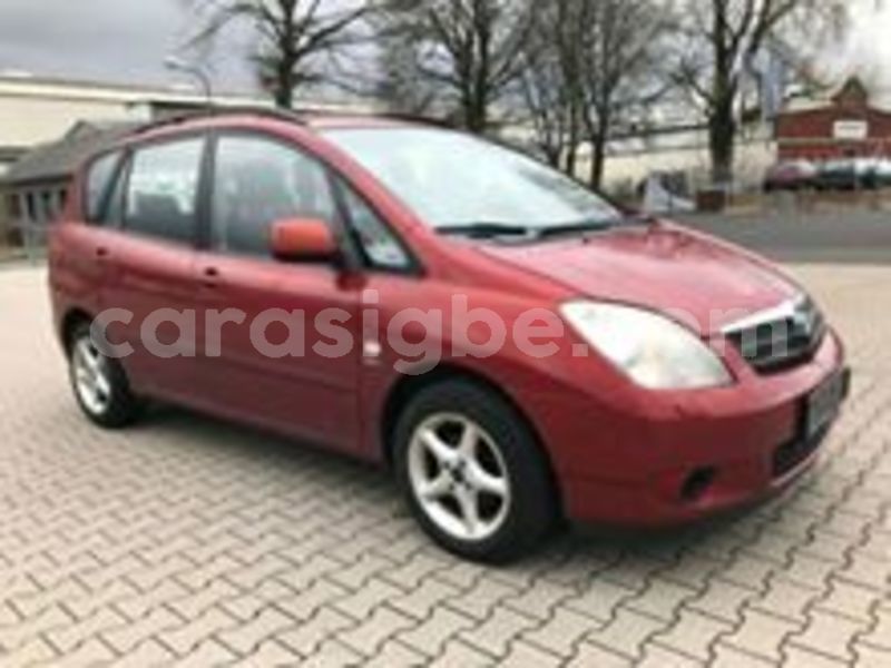 Big with watermark 59916365 2252119484842797 2215809353544368128 n