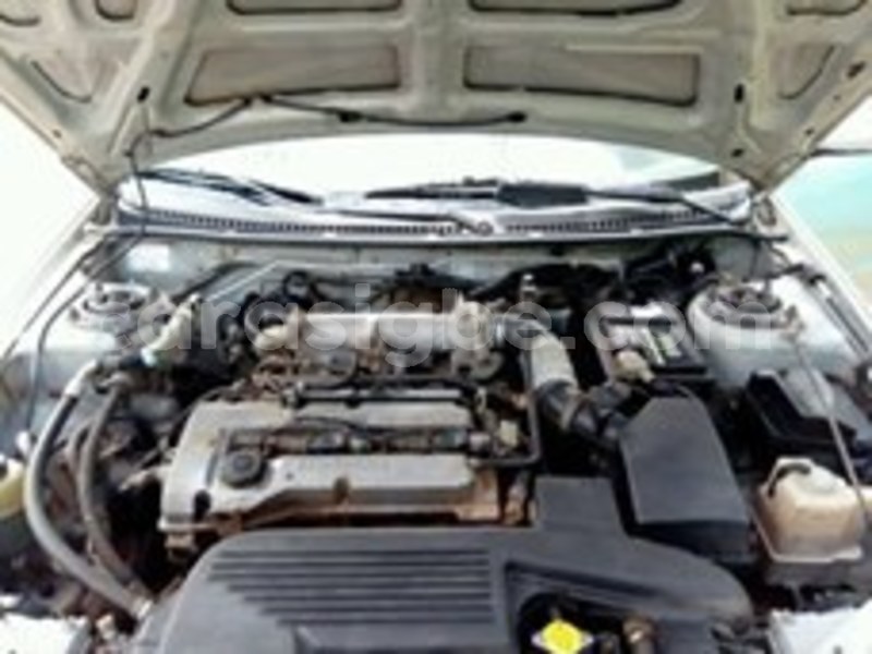 Big with watermark 60179777 166608864363069 7998924539197128704 n