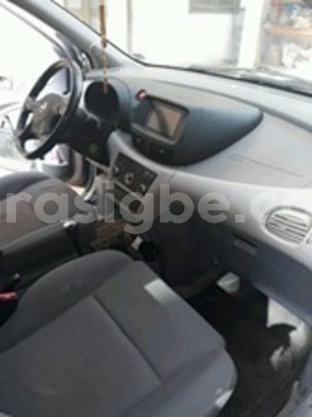 Big with watermark 60145534 166414021049220 1874493568161153024 n