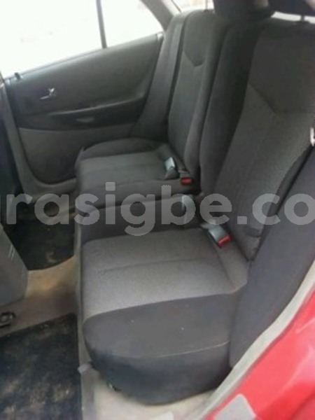 Big with watermark 60357180 166212347736054 3872335556226580480 n