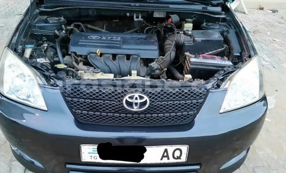 Buy Used Toyota Corolla Black Car in Lome in Togo Buy Used Toyota Corolla Black Car in Lome in Togo