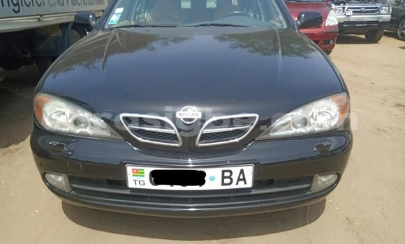 Acheter Occasion Voiture Nissan Primera Noir à Lomé, Togo Acheter Occasion Voiture Nissan Primera Noir à Lomé, Togo