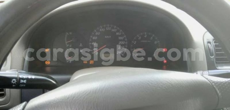 Big with watermark 60765004 510367416165958 1284207024074129408 o