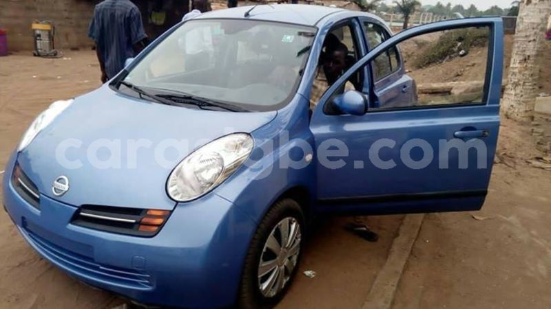 Big with watermark 56232231 485154048687295 6784884803859644416 n