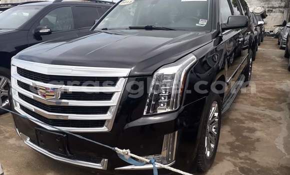 Acheter Import Voiture Cadillac Escalade Noir à Lomé, Togo
