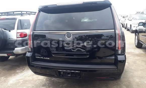 Buy Import Cadillac Escalade Black Car in Lome in Togo Buy Import Cadillac Escalade Black Car in Lome in Togo