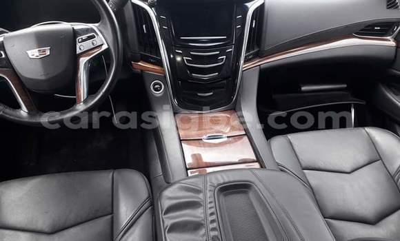 Buy Import Cadillac Escalade Black Car in Lome in Togo Buy Import Cadillac Escalade Black Car in Lome in Togo