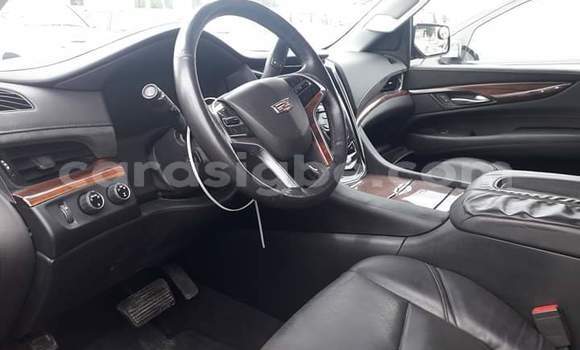 Buy Import Cadillac Escalade Black Car in Lome in Togo Buy Import Cadillac Escalade Black Car in Lome in Togo