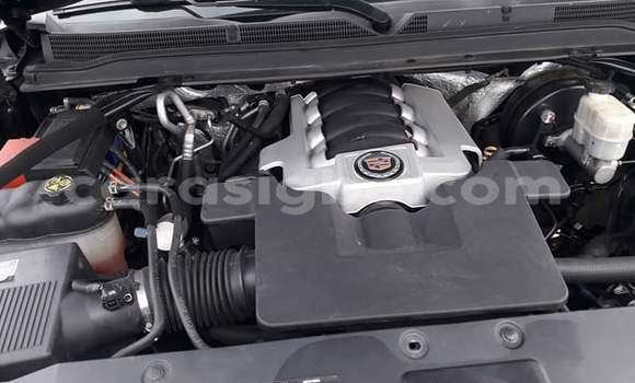 Buy Import Cadillac Escalade Black Car in Lome in Togo Buy Import Cadillac Escalade Black Car in Lome in Togo