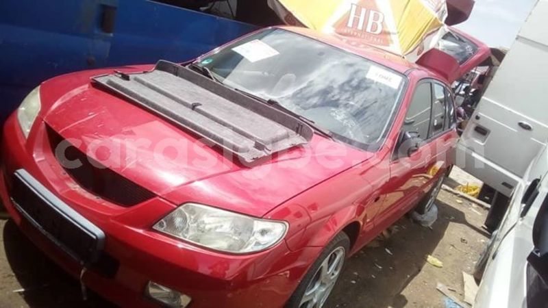 Big with watermark 61925786 2646877535326322 6930332342330327040 n