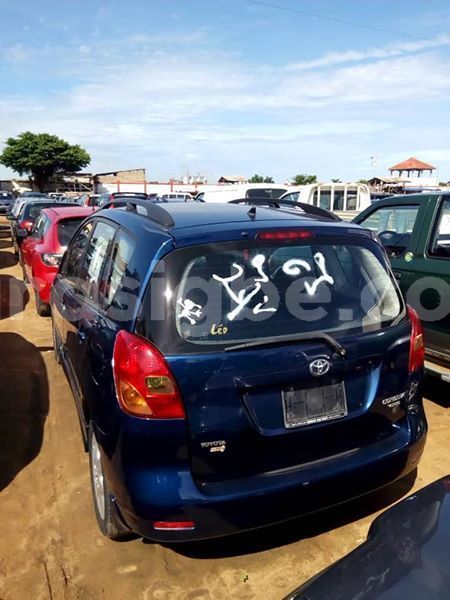 Big with watermark 62065428 2640600622620680 5064303970025996288 n