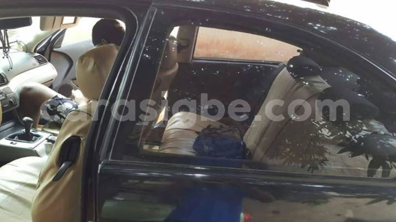 Big with watermark 46366167 1150449575112745 8625201814007971840 o