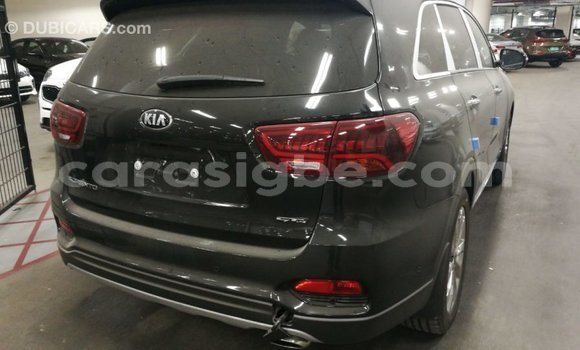 Buy Import Kia Sorento Brown Car in Import - Dubai in Togo Buy Import Kia Sorento Brown Car in Import - Dubai in Togo