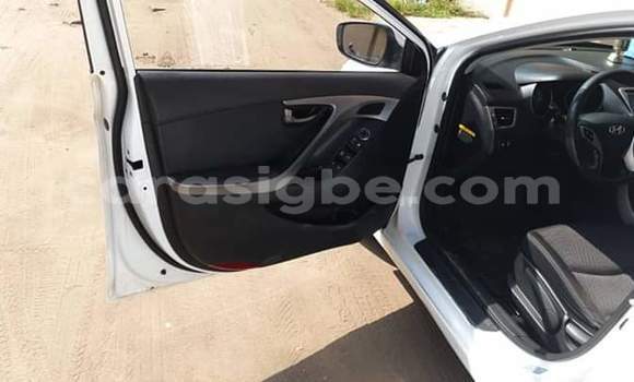 Buy Import Hyundai Avante White Car in Lome in Togo Buy Import Hyundai Avante White Car in Lome in Togo