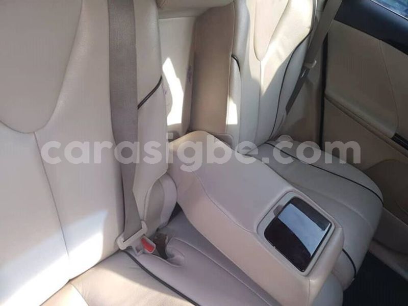 Big with watermark 36959741 234232057196398 6409860440100175872 o