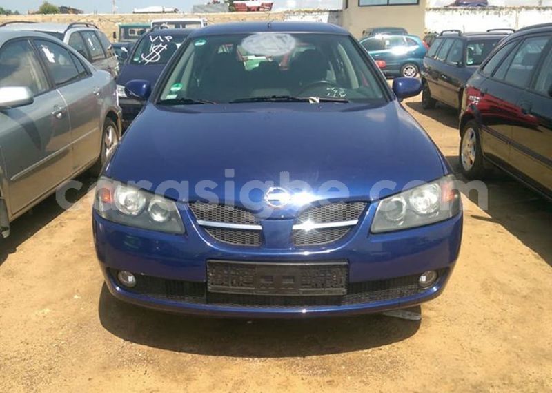 Big with watermark 64404850 2383283028575836 3563640949399617536 n