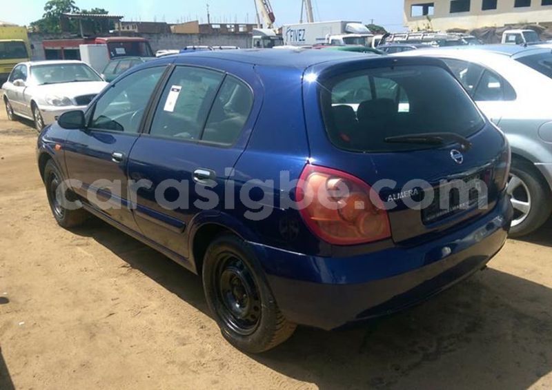 Big with watermark 64763007 2383283091909163 4722989391528591360 n