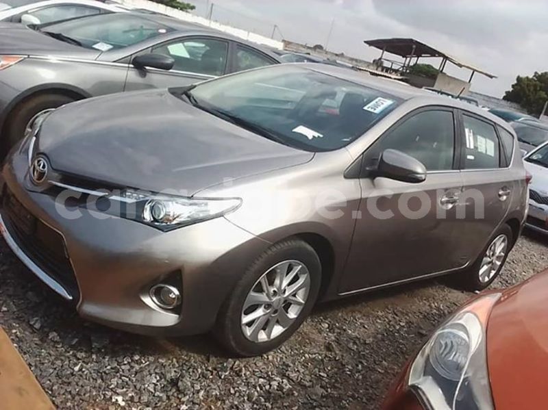 Big with watermark 62649915 2382875681949904 2826694333149741056 n