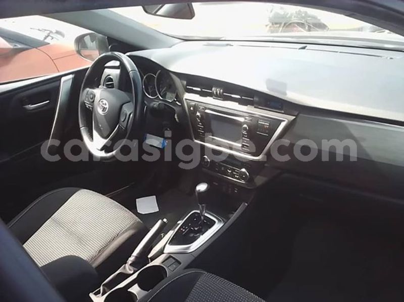 Big with watermark 64655903 2382875728616566 465732763085963264 n