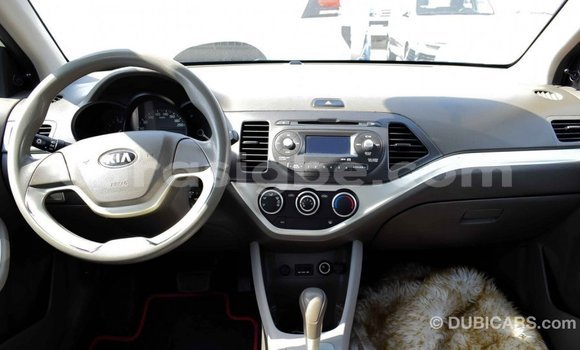 Buy Import Kia Picanto White Car in Import - Dubai in Togo Buy Import Kia Picanto White Car in Import - Dubai in Togo