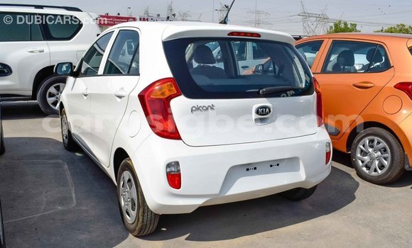 Buy Import Kia Picanto White Car in Import - Dubai in Togo Buy Import Kia Picanto White Car in Import - Dubai in Togo