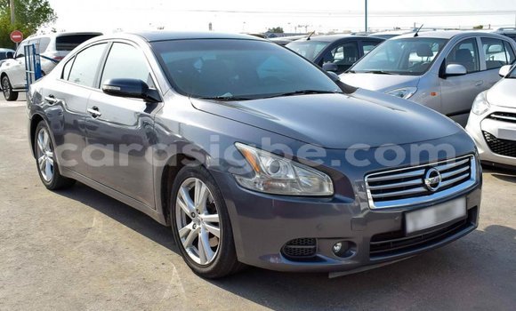 Buy Import Nissan Maxima Other Car in Import - Dubai in Togo Buy Import Nissan Maxima Other Car in Import - Dubai in Togo