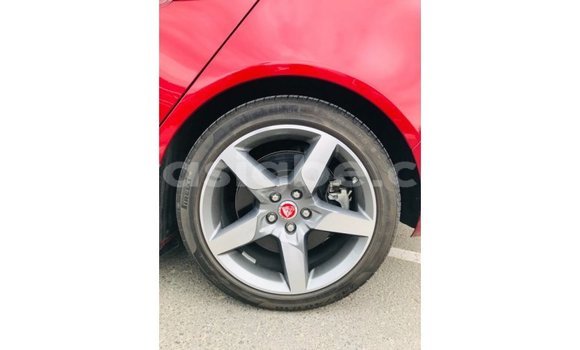 Acheter Import Voiture Jaguar XE Rouge à Import - Dubai, Togo Acheter Import Voiture Jaguar XE Rouge à Import - Dubai, Togo