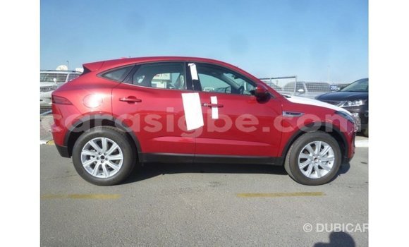 Buy Import Jaguar E-Pace Red Car in Import - Dubai in Togo Buy Import Jaguar E-Pace Red Car in Import - Dubai in Togo
