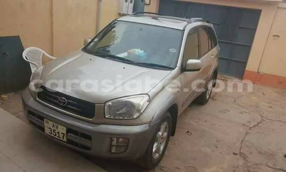 Acheter Occasion Voiture Toyota RAV4 Gris à Lomé, Togo