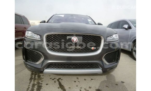 Buy Import Jaguar F-Type Black Car in Import - Dubai in Togo Buy Import Jaguar F-Type Black Car in Import - Dubai in Togo