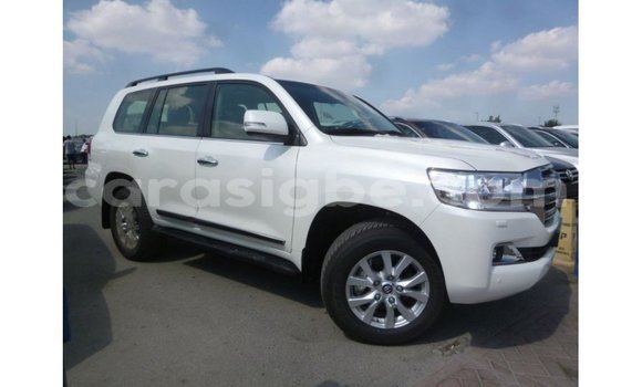 Acheter Import Voiture Toyota Land Cruiser Blanc à Import - Dubai, Togo