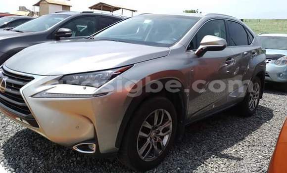 Acheter Occasion Voiture Lexus NX Gris à Lomé, Togo Acheter Occasion Voiture Lexus NX Gris à Lomé, Togo