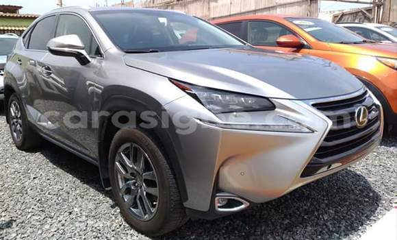 Acheter Occasion Voiture Lexus NX Gris à Lomé, Togo Acheter Occasion Voiture Lexus NX Gris à Lomé, Togo