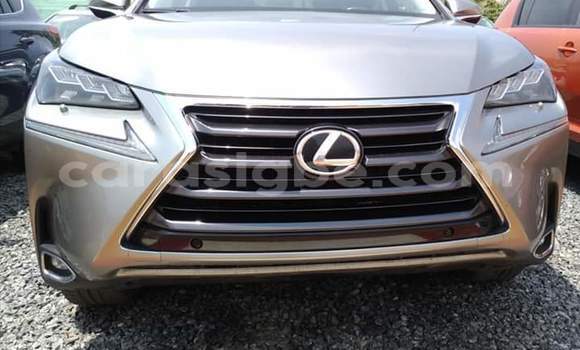 Acheter Occasion Voiture Lexus NX Gris à Lomé, Togo Acheter Occasion Voiture Lexus NX Gris à Lomé, Togo