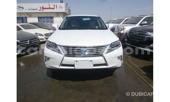 Buy Import Lexus RX White Car in Import - Dubai in Togo Buy Import Lexus RX White Car in Import - Dubai in Togo