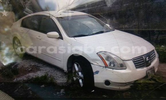 Acheter Occasion Voiture Nissan Maxima Blanc à Adawlato, Togo