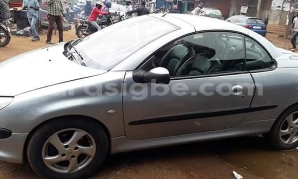 Acheter Occasion Voiture Peugeot 206 Gris à Lomé, Togo